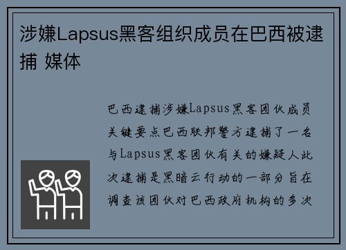 涉嫌Lapsus黑客组织成员在巴西被逮捕 媒体