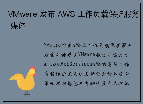 VMware 发布 AWS 工作负载保护服务 媒体